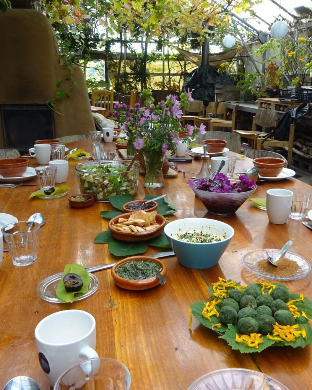 Wildplukdiner 'Zee van Wilde Smaken' in Open Kas Haren, De Biotoop